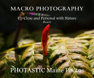 Macro Photography book cover