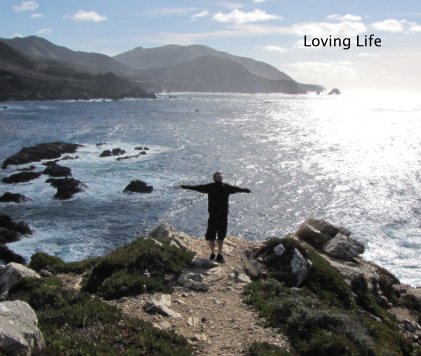 Loving Life book cover
