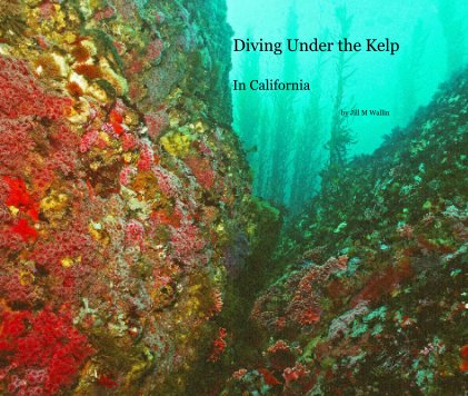 Diving Under the Kelp book cover
