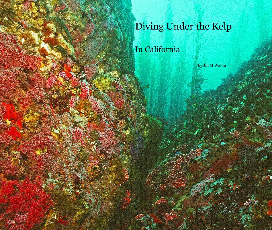 View Diving Under the Kelp by Jill M Wallin