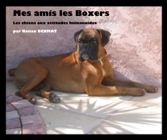 Mes amis les Boxers book cover