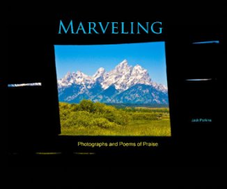 Marveling book cover