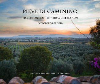 PIEVE DI CAMININO book cover