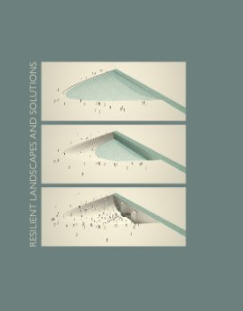 Resilient Landscapes and Solutions book cover