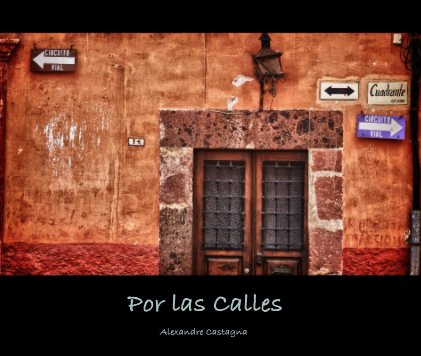 Por las Calles book cover