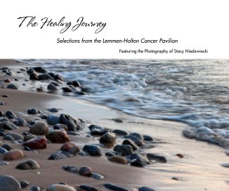 The Healing Journey book cover