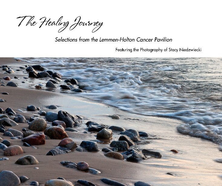 View The Healing Journey by Stacy Niedzwiecki