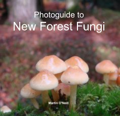 Photoguide to New Forest Fungi book cover