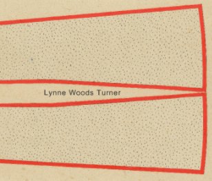 Lynne Woods Turner book cover
