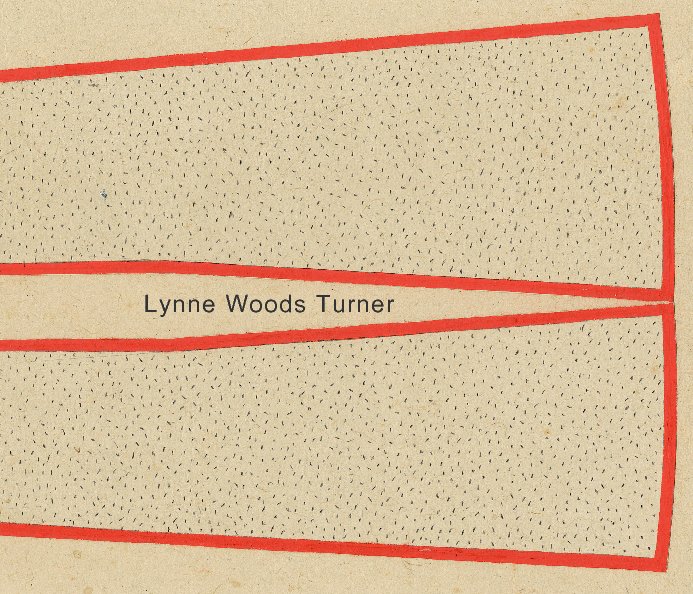 View Lynne Woods Turner by Danese