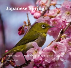 Japanese Spring book cover