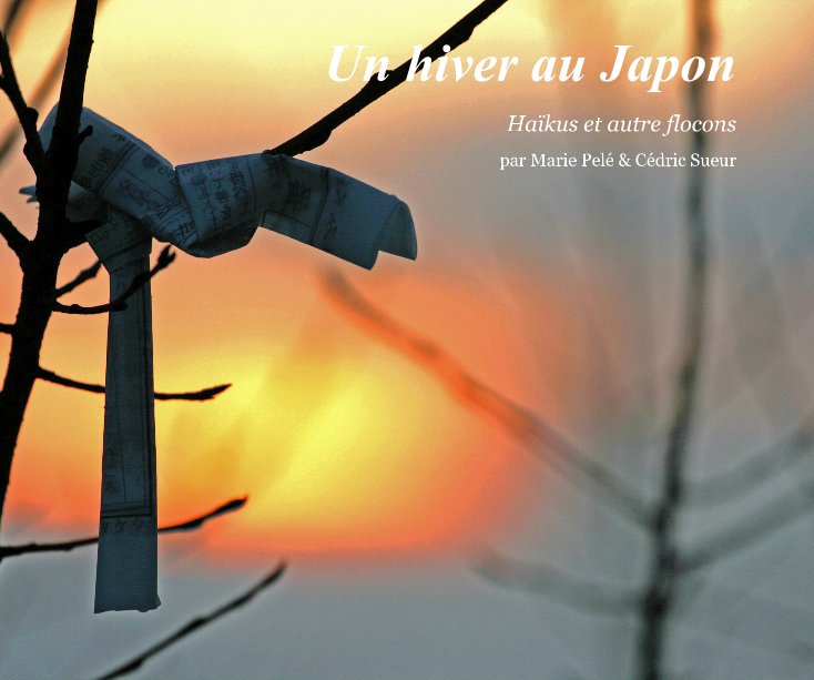 View Un hiver au Japon by Cédric Sueur