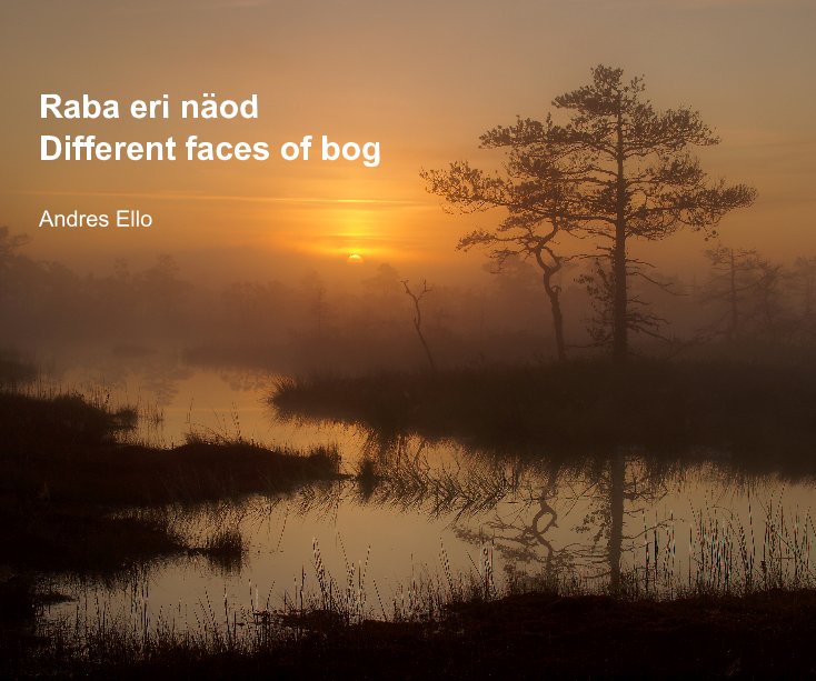 View Different faces of bog by Andres Ello