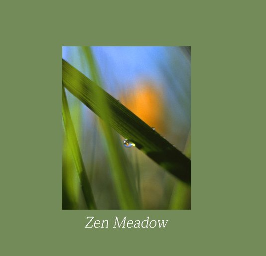 View Zen Meadow by Helen Burrow