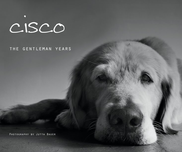 View cisco - the gentleman years by Jutta Bauer