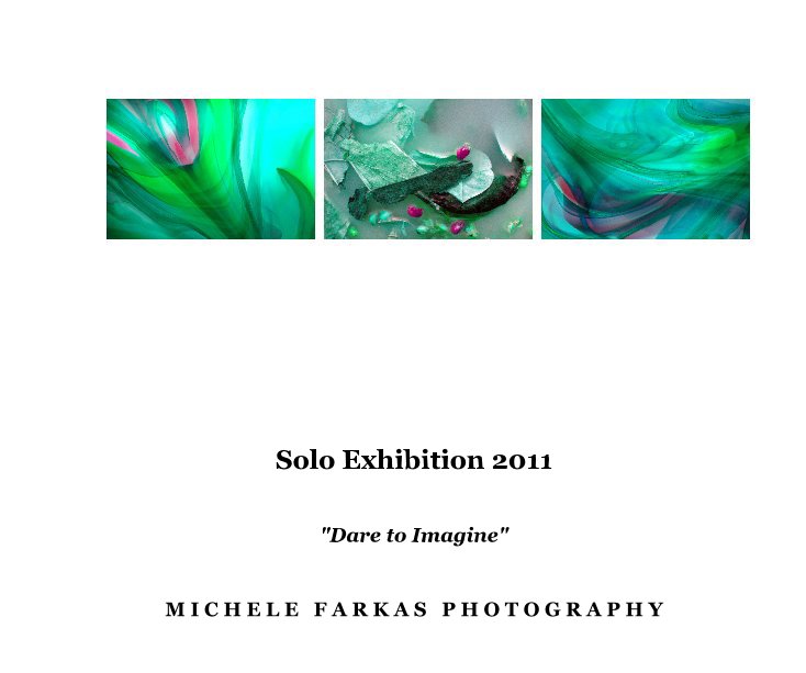 View Solo Exhibition 2011 by Michele Farkas