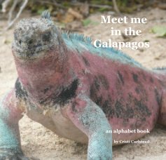 Meet me in the Galapagos book cover