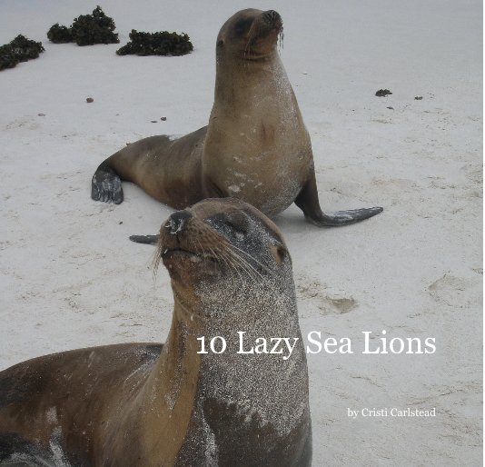 View 10 Lazy Sea Lions by Cristi Carlstead