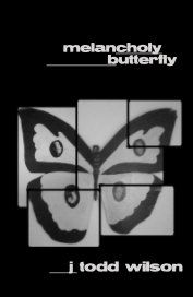 melancholy butterfly book cover