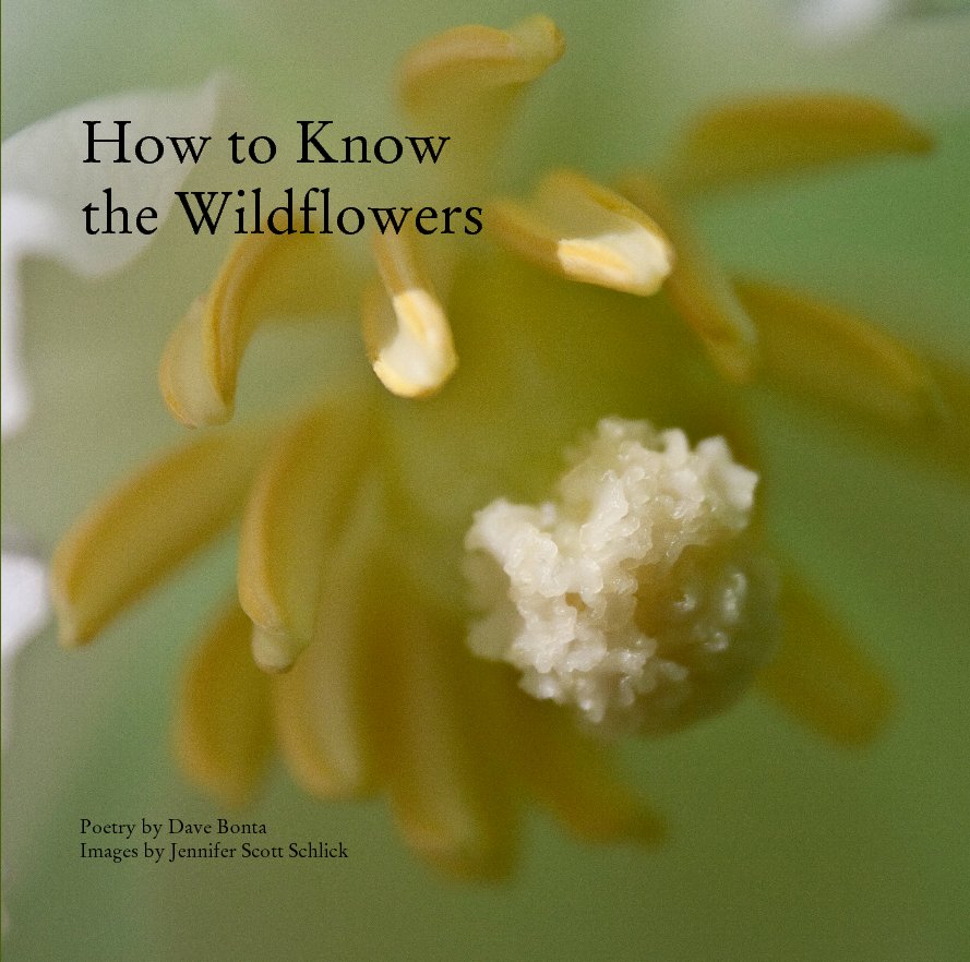 Ver How to Know 
the Wildflowers por Dave Bonta, Jennifer Schlick
