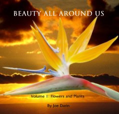 Beauty All Around Us book cover