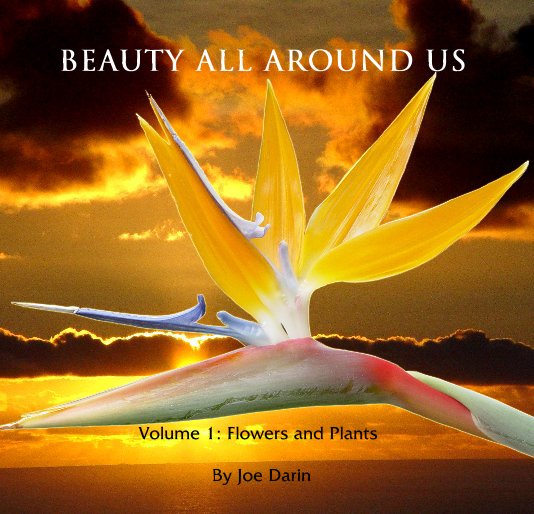 View Beauty All Around Us by Joe Darin