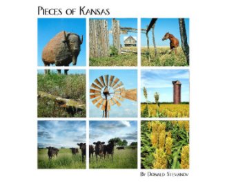 Pieces Of Kansas book cover