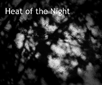 Heat of the Night book cover