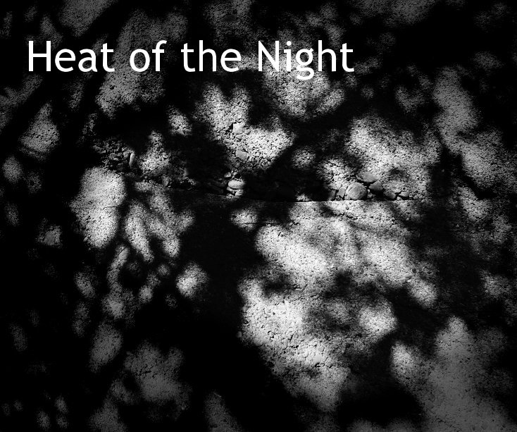 View Heat of the Night by Terry Rempel-Mroz