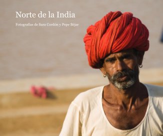 Norte de la India book cover