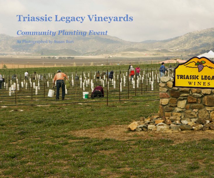 View Triassic Legacy Vineyards by As Photographed by Susan Burt