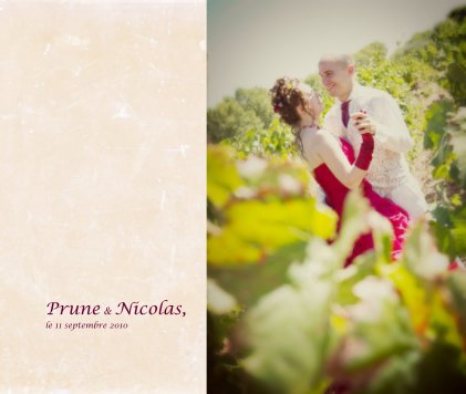 Prune & Nicolas, le 11 septembre 2010 book cover