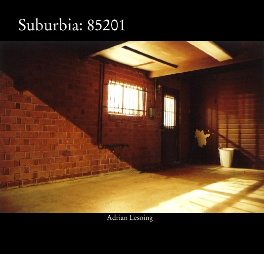 View Suburbia: 85201 by Adrian Lesoing