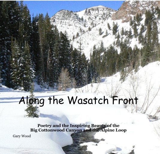 View Along the Wasatch Front by Gary Wood
