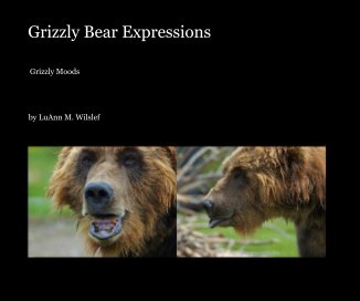 Grizzly Bear Expressions book cover