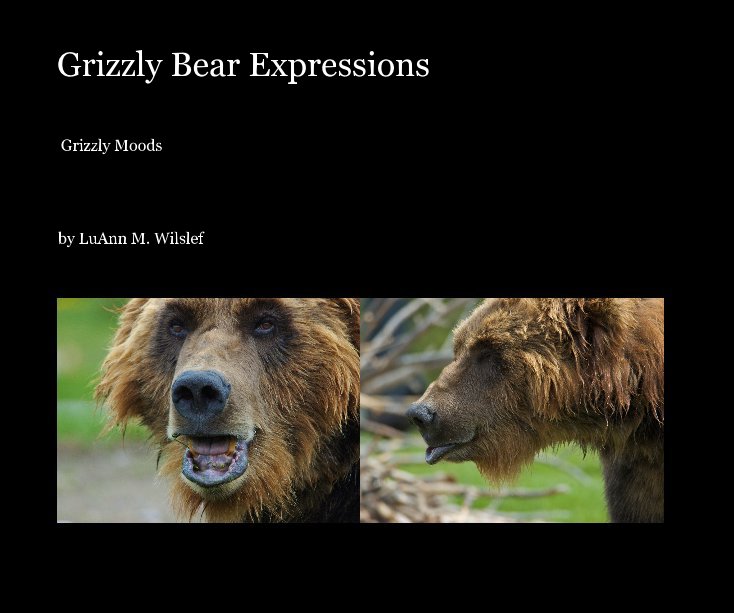 View Grizzly Bear Expressions by LuAnn M. Wilslef