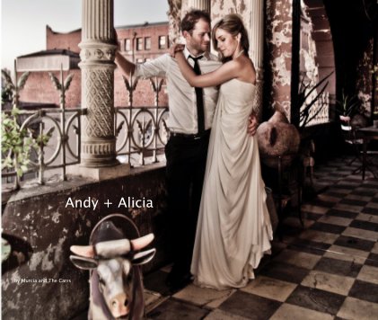 Andy + Alicia book cover