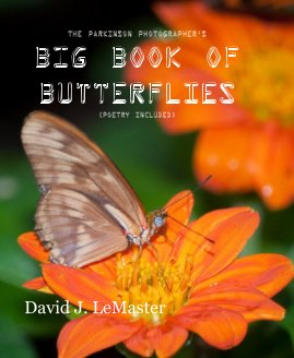 The Parkinson Photographer's Big Book of Butterflies book cover