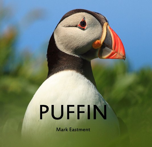 View PUFFIN by Mark Eastment
