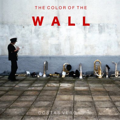 THE COLOR OF THE WALL book cover