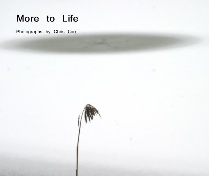 More to Life book cover