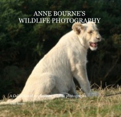 ANNE BOURNE'S WILDLIFE PHOTOGRAPHY book cover