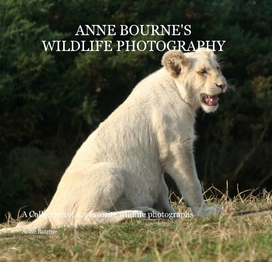 View ANNE BOURNE'S WILDLIFE PHOTOGRAPHY by Anne Bourne