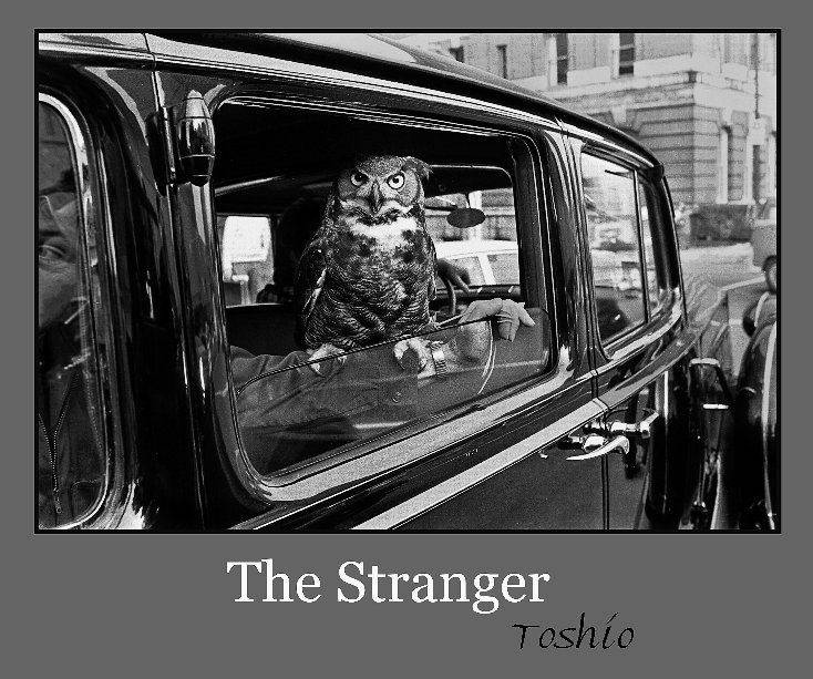 View The Stranger by Toshio