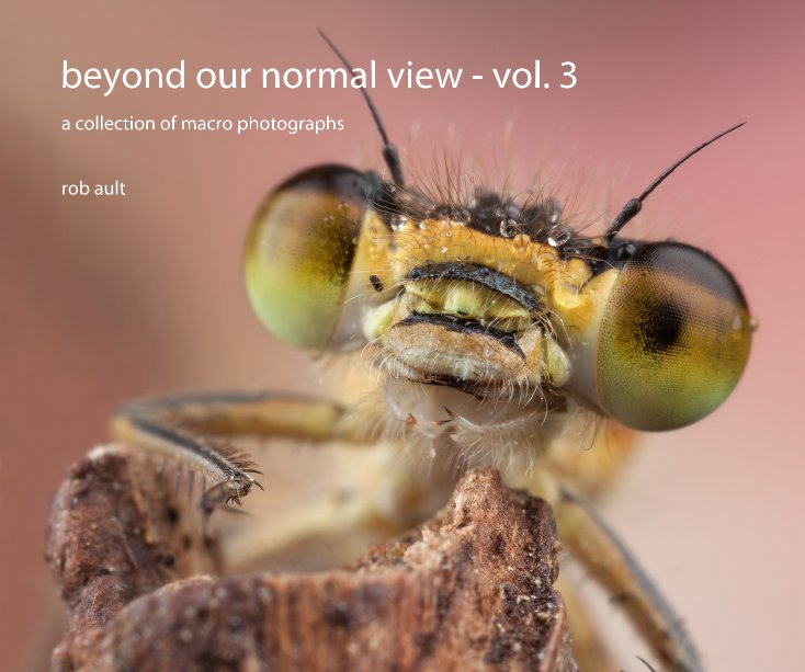 View beyond our normal view - vol. 3 by rob ault