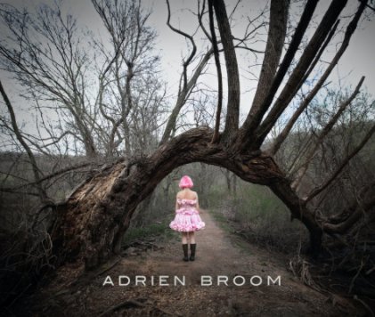 Adrien Broom, Volume I book cover