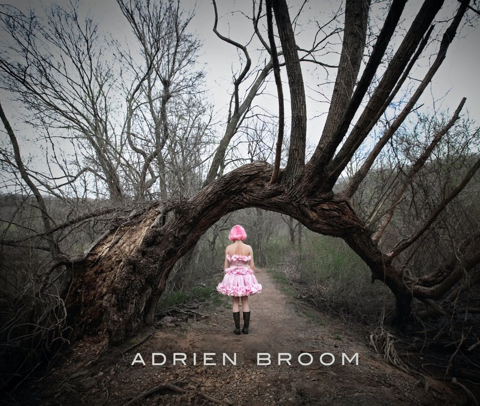 Bekijk Adrien Broom, Volume I op Adrien Broom
