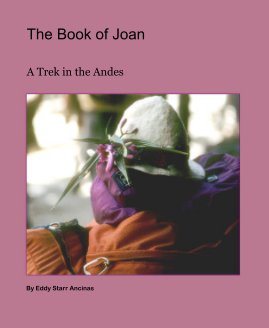 The Book of Joan book cover