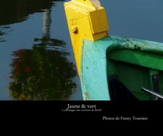 Jaune & vert
La Bretagne aux couleurs du Brésil book cover