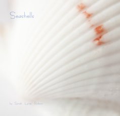 Seashells book cover
